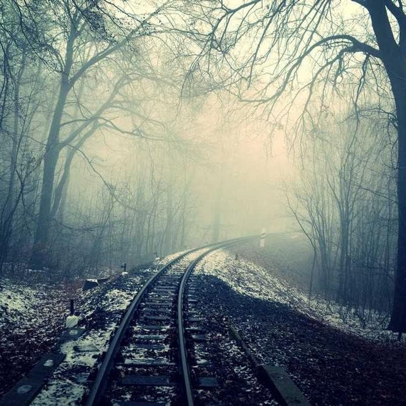 Tóc nhuộm nâu hạt dẻ - bundle thẳng 35cm